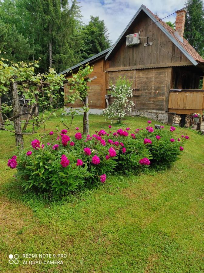 Dorina Hiza Villa Karlovac Exterior photo